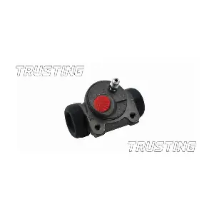 CF145 TRUSTING