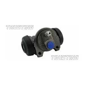 TRUSTING CF120