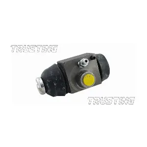 TRUSTING CF219