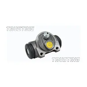 TRUSTING CF125