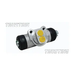 CF466 TRUSTING