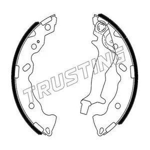 253.707 TRUSTING