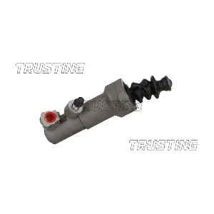 CZ162 TRUSTING