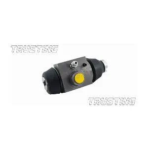 TRUSTING CF222
