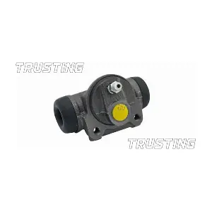 TRUSTING CF141