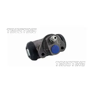 TRUSTING CF589
