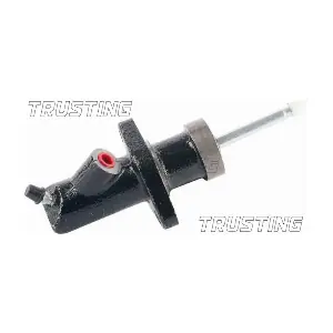 CZ095 TRUSTING