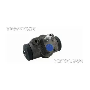 CF516 TRUSTING