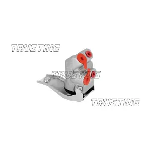 TRUSTING CT046