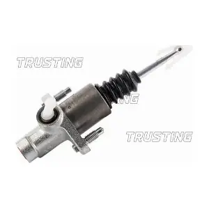 PZ061 TRUSTING
