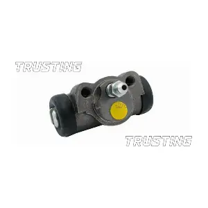 TRUSTING CF308