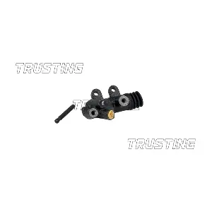 TRUSTING CZ141
