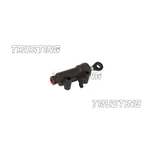 PZ134 TRUSTING