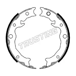 110.343 TRUSTING