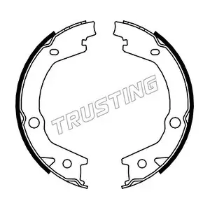 TRUSTING 046.220