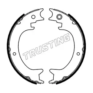 110.339 TRUSTING
