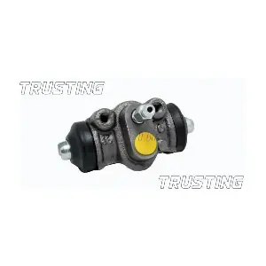 CF573 TRUSTING