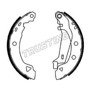 088.218Y TRUSTING