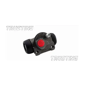 TRUSTING CF026