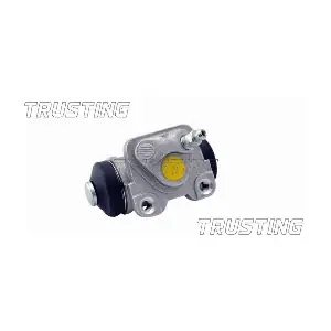 TRUSTING CF248