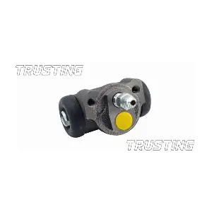 TRUSTING CF269
