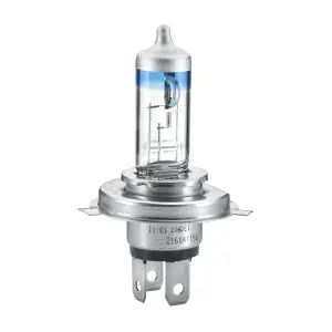 HELLA 8GJ 002 525-531