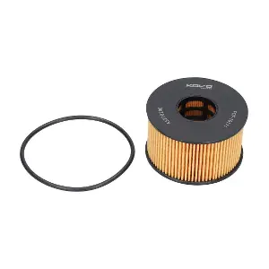 FOF-10171 KAVO PARTS