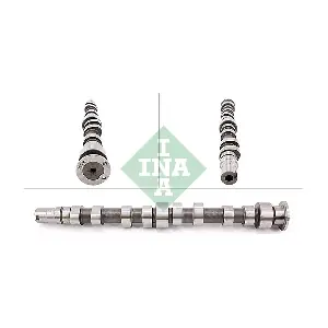 428 0173 10 Schaeffler INA