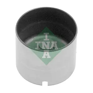 Schaeffler INA 421 0005 10