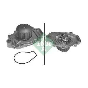 Schaeffler INA 538061910