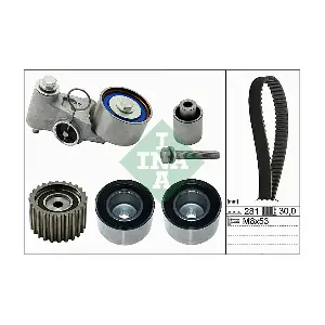 530056310 Schaeffler INA