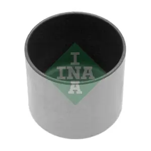 421 0010 10 Schaeffler INA