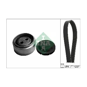 529 0087 10 Schaeffler INA