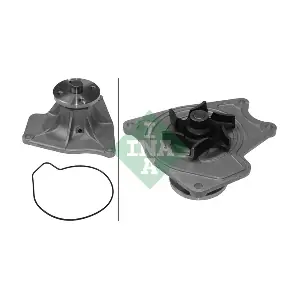 538058110 Schaeffler INA