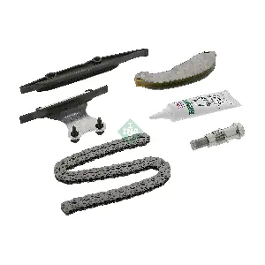 559 1007 21 Schaeffler INA