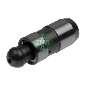 420021810 Schaeffler INA