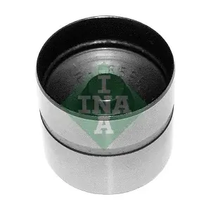 Schaeffler INA 420021010