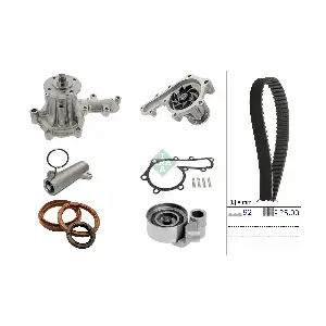 530 0879 30 Schaeffler INA