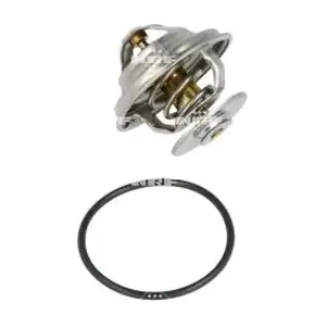 725197 NRF