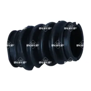 NRF 165009