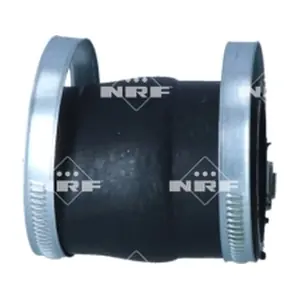 NRF 166219