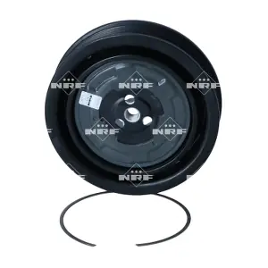 NRF 380101