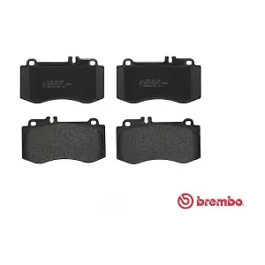 P50087 A.B.S.