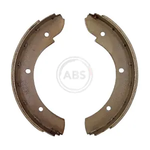 A.B.S. 8953