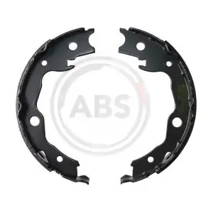 A.B.S. 9250