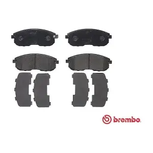 P79030 A.B.S.