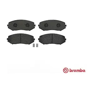 P79018 A.B.S.