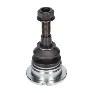 CX0186 BIRTH