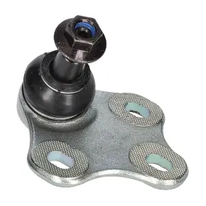CS0009 BIRTH