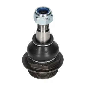 CX9298 BIRTH
